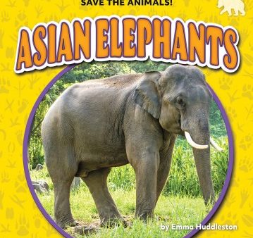 Asian Elephants For Cheap