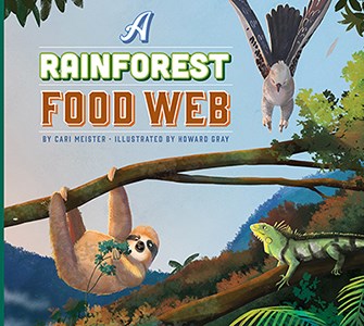 A Rainforest Food Web Hot on Sale